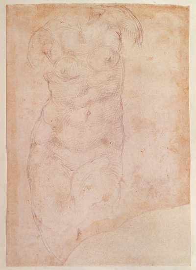 Studie eines weiblichen Aktes von Michelangelo Buonarroti
